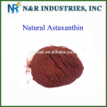 Astaxanthin pulver 2% ~ 5% UV / HPLC